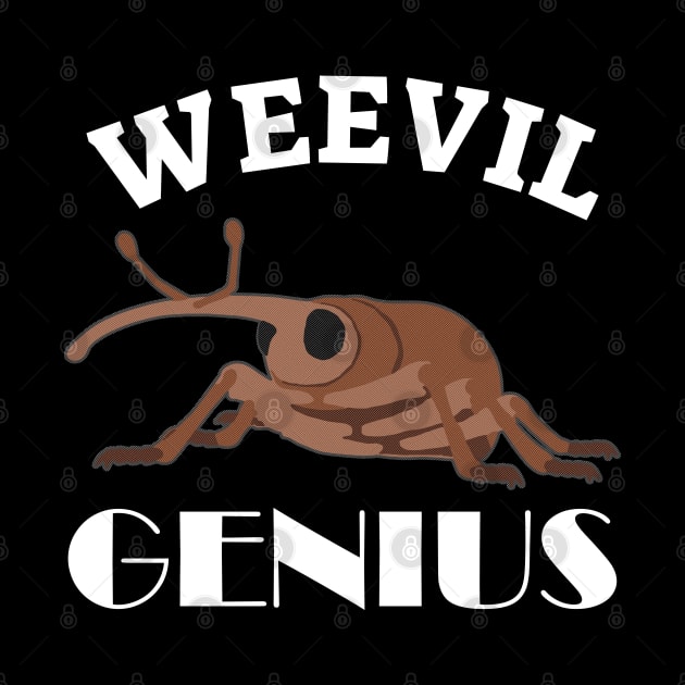 Weevil Genius by AI studio