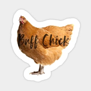 Buff Chick Magnet