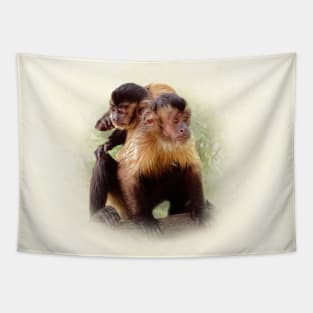 Tufted capuchins Tapestry