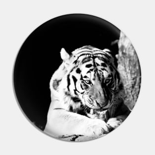 Year of the tiger 2022 - 4 Pin