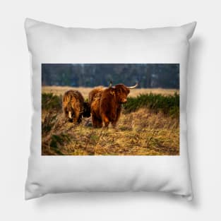 Highland cow and her calf Pillow
