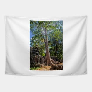 Giant Banyan Tree at Banteay Kdei Tapestry