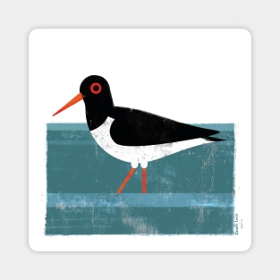 Oystercatcher Magnet