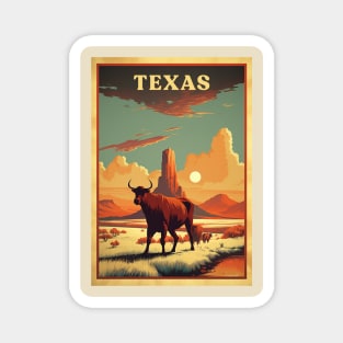 Texas Magnet