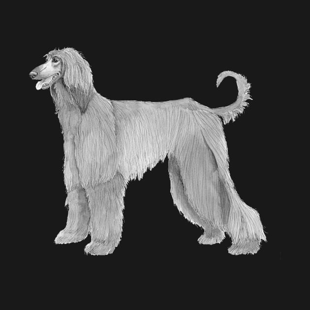 Afghan hound by doggyshop