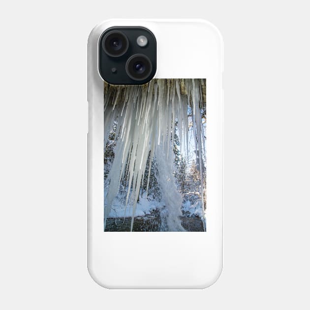 Scheidegg First Waterfall in winter Phone Case by mbangert