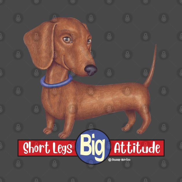 Doxie cute awesome attitude Dachshund with Blue Collar by Danny Gordon Art