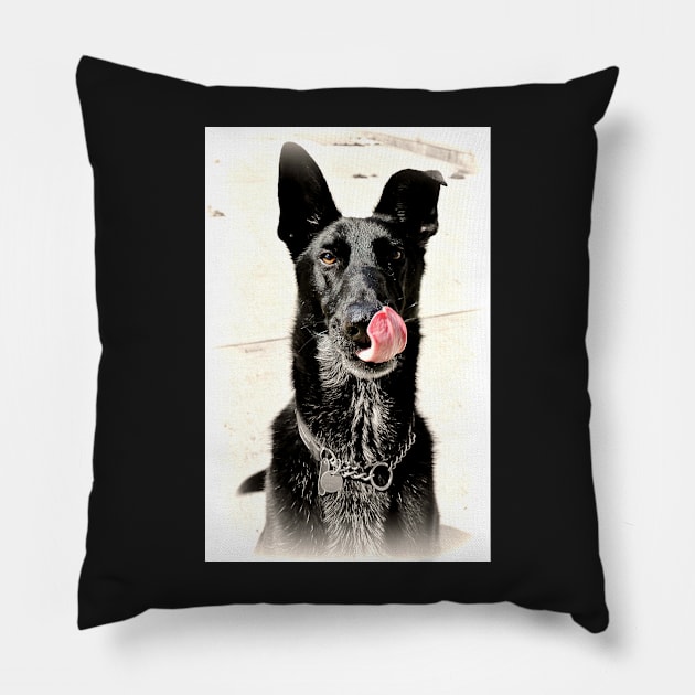 Beau Pillow by Ladymoose