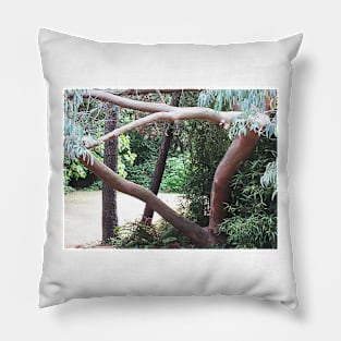 Madrona Lighted in the Park Pillow