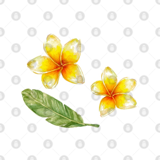 Plumeria flowers and banana leaf by lisenok