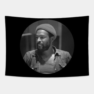 Marvin Gaye Tapestry