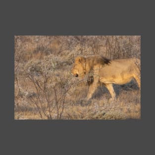 Namibia. Etosha National Park. Lion. T-Shirt