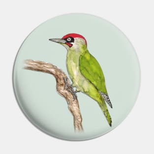 European green woodpecker Pin