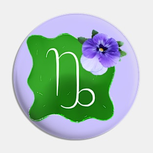 Capricorn Zodiac Sign December January Birthday Horoscope Pin