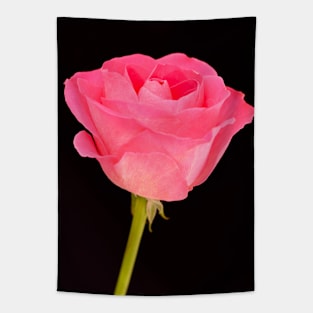 Single Pink Rose Tapestry