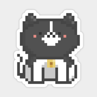 Pixel Quiet Border Collie Cat 72 Magnet