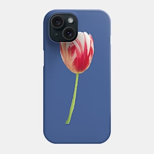 Modern Viceroy Phone Case