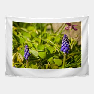 elb muscari Tapestry