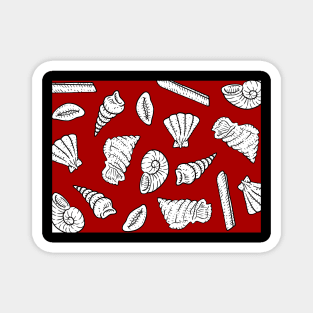 red and white sea shells. Magnet