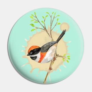 Black-throated bushtit watercolor Pin