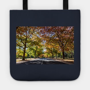 Honour Avenue, Mount Macedon, Victoria, Australia. Tote