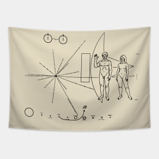 SETI Alien search by NASA Tapestry