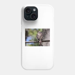 Coopers Hawk Phone Case