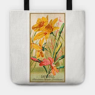 Daffodils (Narcissis Pseudo-Narcissus) Tote