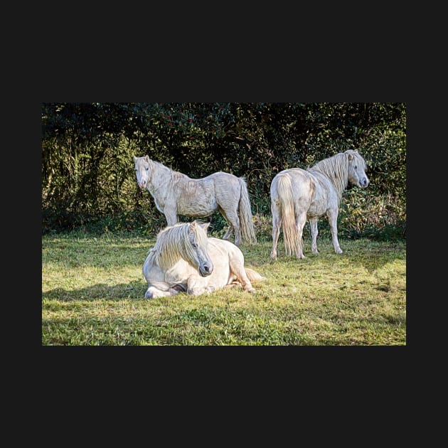 White Ponies by RJDowns