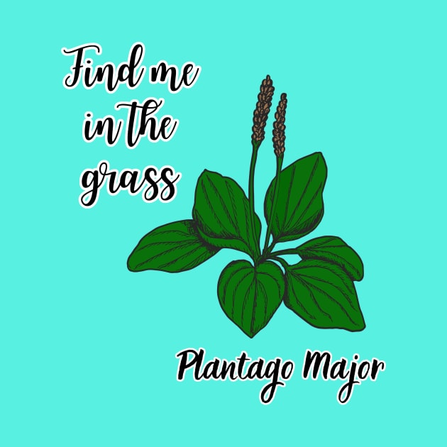 Find me in the grass Plantago major by Kamila's Ideas