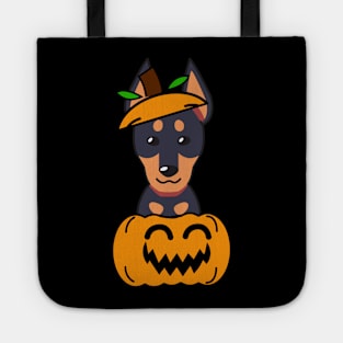 Funny alsatian is in a pumpkin Tote