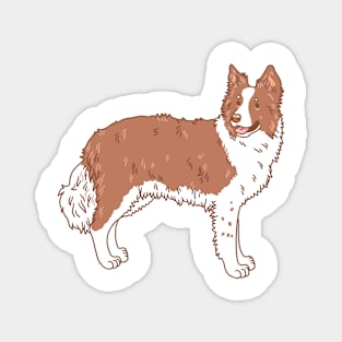 Red Border Collie Magnet