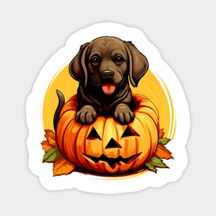 Labrador Retriever Dog inside Pumpkin #2 Magnet