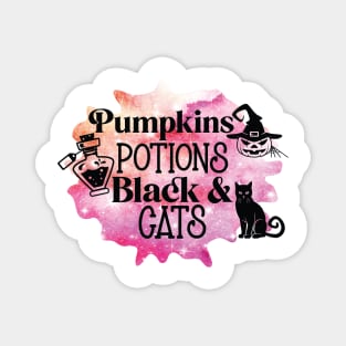 Pumpkin potions and black cats Halloween Magnet