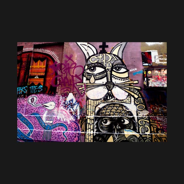 Cat Graffiti Melbourne by rozmcq