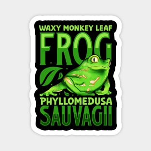 Waxy Monkey Leaf Frog Magnet