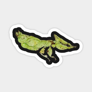 Leaf Bug Magnet