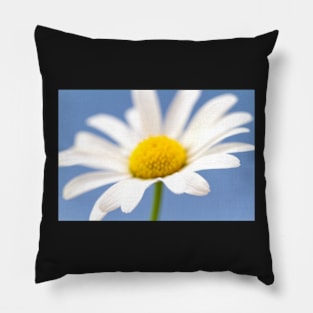 Daisy Light Blue Pillow