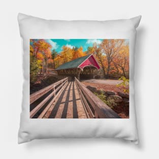 The Flume Bridge Pillow