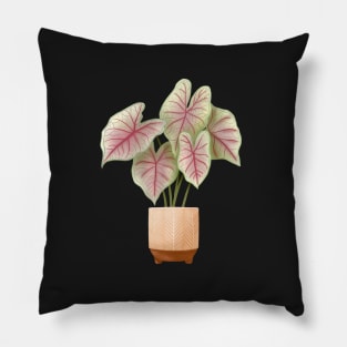 Caladium Summer Breeze, Potted Plant Illustration Pillow
