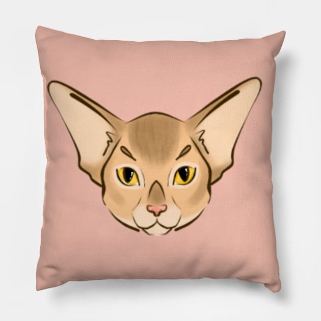 Baby abyssinian Pillow by Zjuka_draw