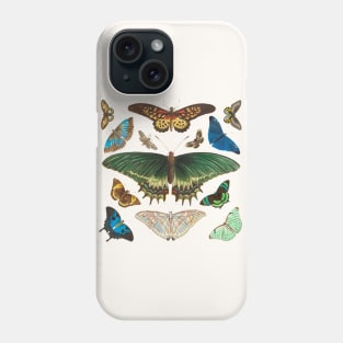 Exotic butterflies Phone Case