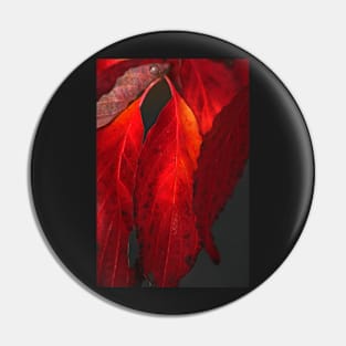 Flaming Dogwood Pin