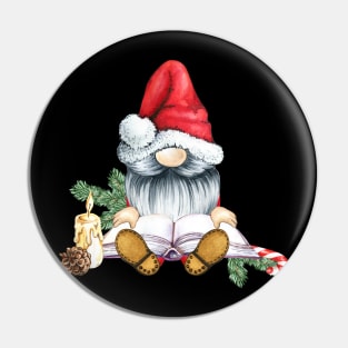 Lovely Christmas Gnome Pin