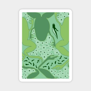 Frog Life Cycle Magnet