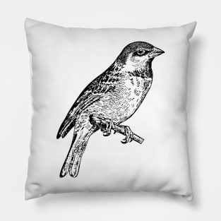 Bird Sparrow Hand Drawn Pillow