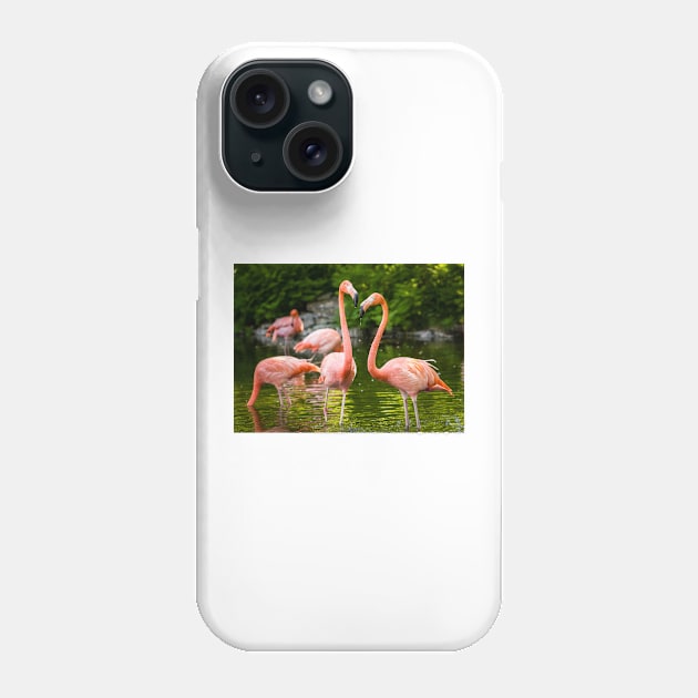 Flamingo Love Phone Case by Robert Alsop