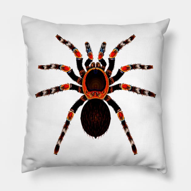 Funky Tarantula Spider Pillow by crunchysqueak