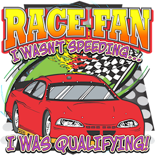 Race Fan Magnet
