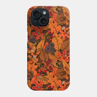 Autumn treasures 1 Phone Case